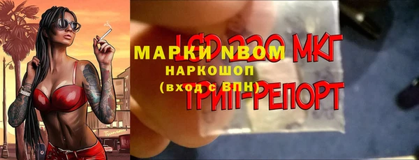 бошки Елабуга