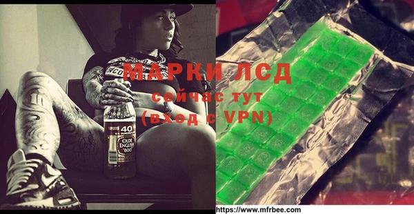 МДПВ Ельня
