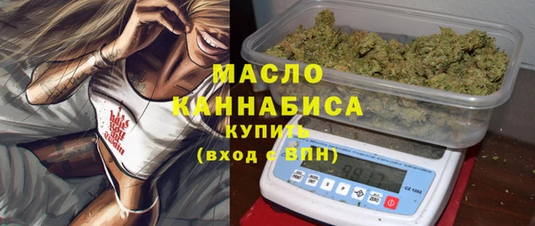 МДПВ Ельня