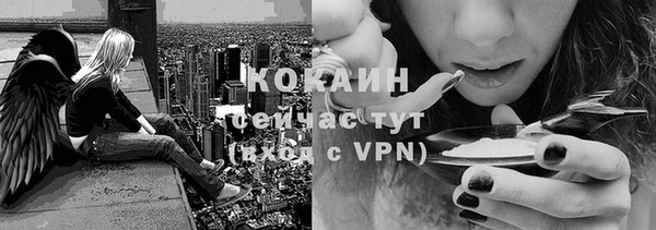 каннабис Дмитриев