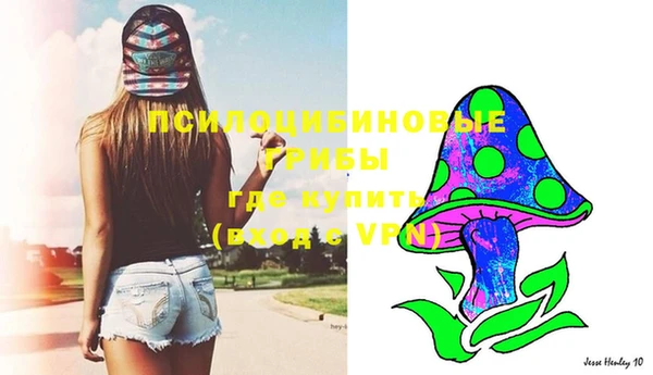 МДПВ Ельня