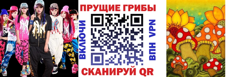 Псилоцибиновые грибы Psilocybe  купить наркоту  KRAKEN ССЫЛКА  Жуков 